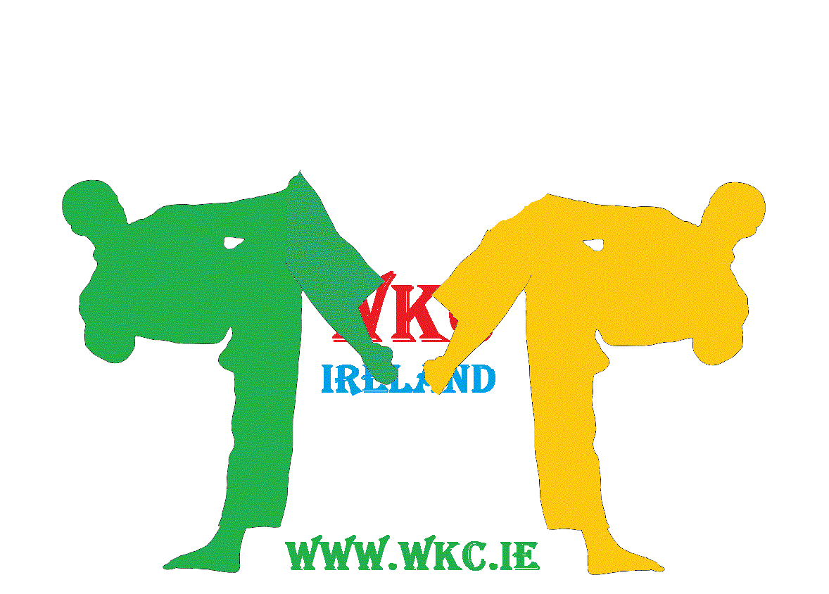 Two Karateka Kicking animation by Brendan Donnelly 7th Dan WKC