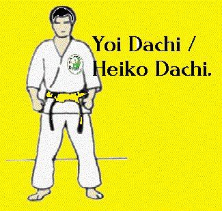 yoi yellow grad for seishin freestyle karate Brendan donnelly