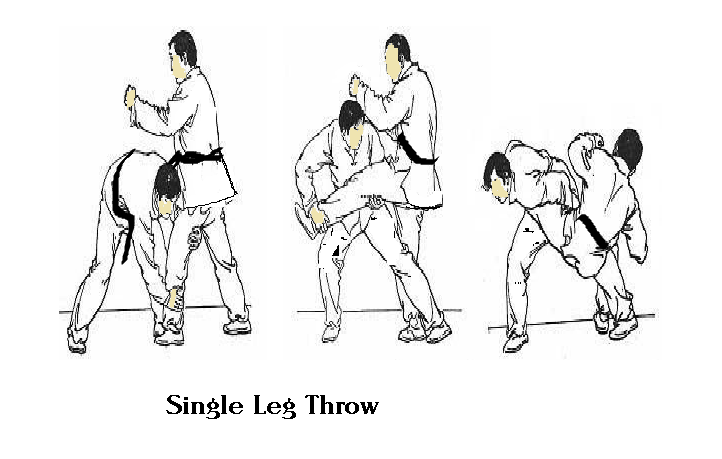 single leg throw