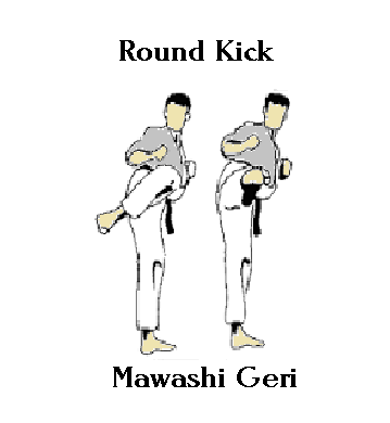 Round Kick seishin Freestyle